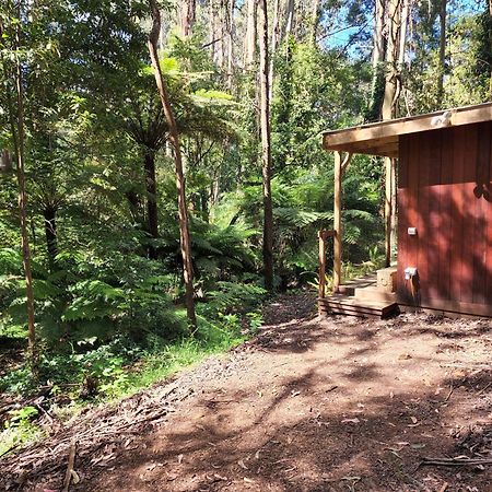 FernGlen Forest Retreat Mount Dandenong Exterior foto