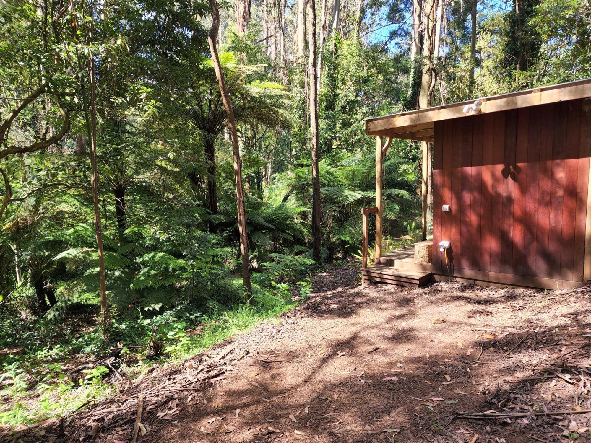 FernGlen Forest Retreat Mount Dandenong Exterior foto