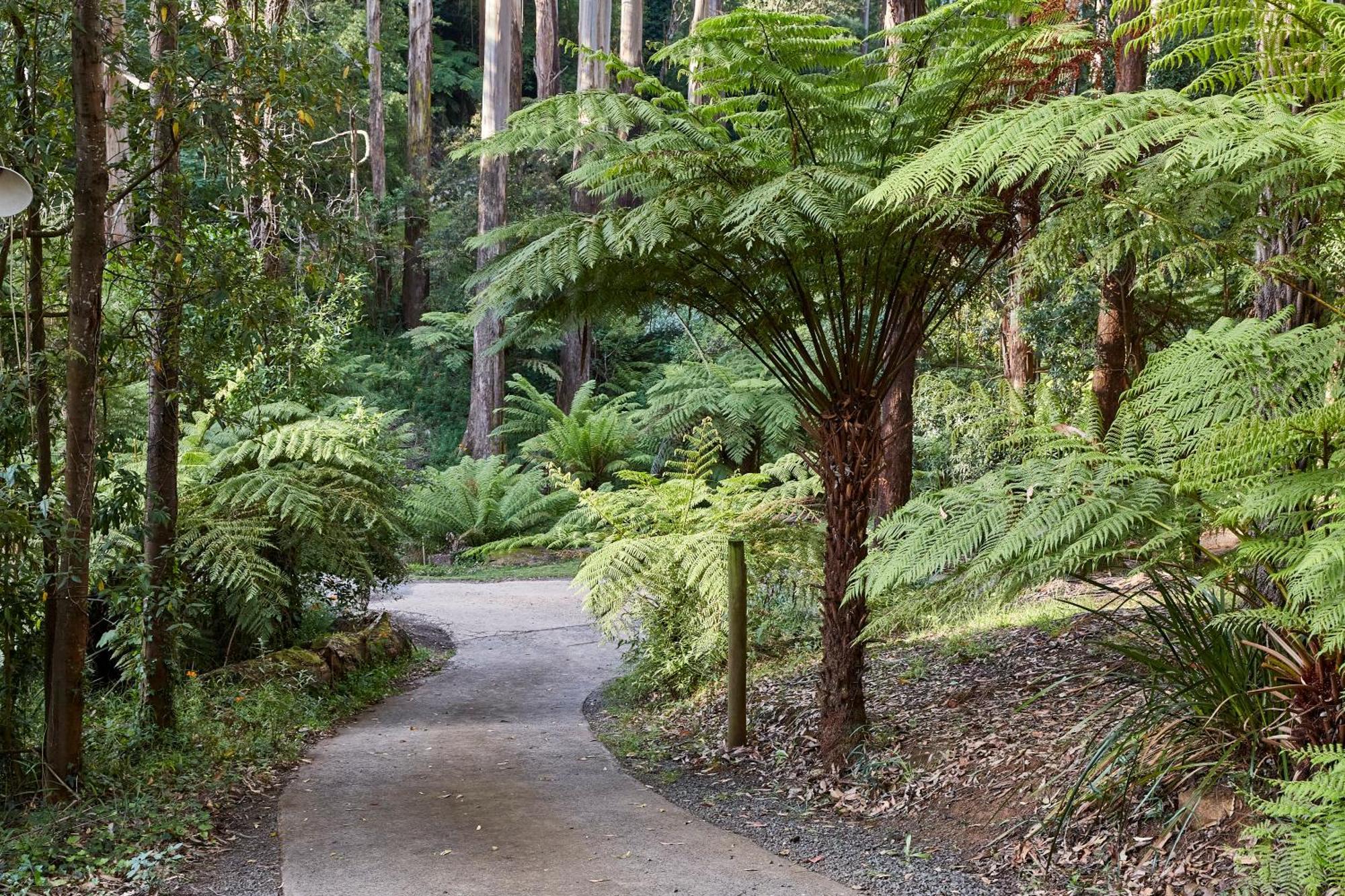 FernGlen Forest Retreat Mount Dandenong Exterior foto